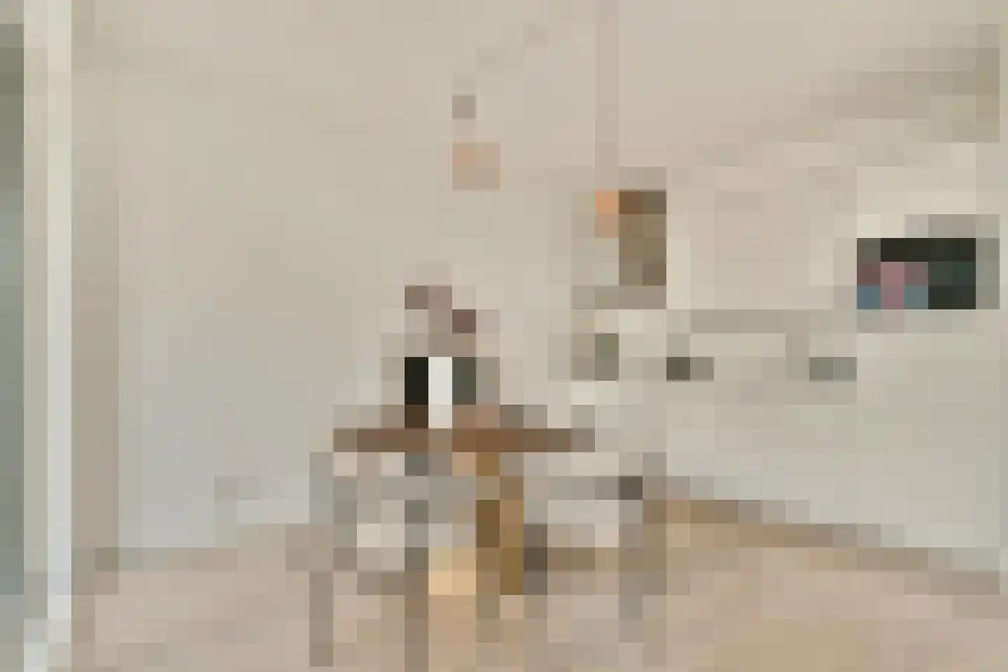 Piet Mondriaansingel 103 Diemen thumbnail 9