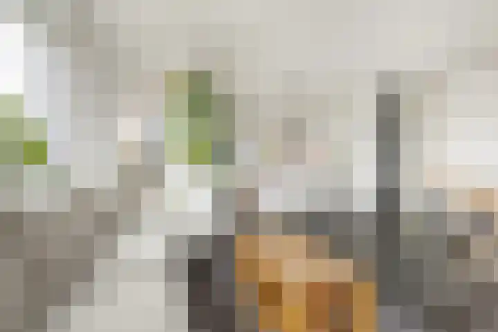 Piet Mondriaansingel 111 Diemen thumbnail 4