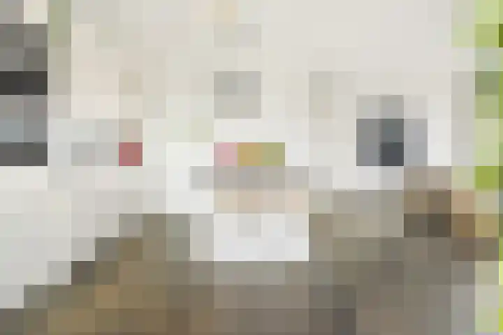 Piet Mondriaansingel 111 Diemen thumbnail 6