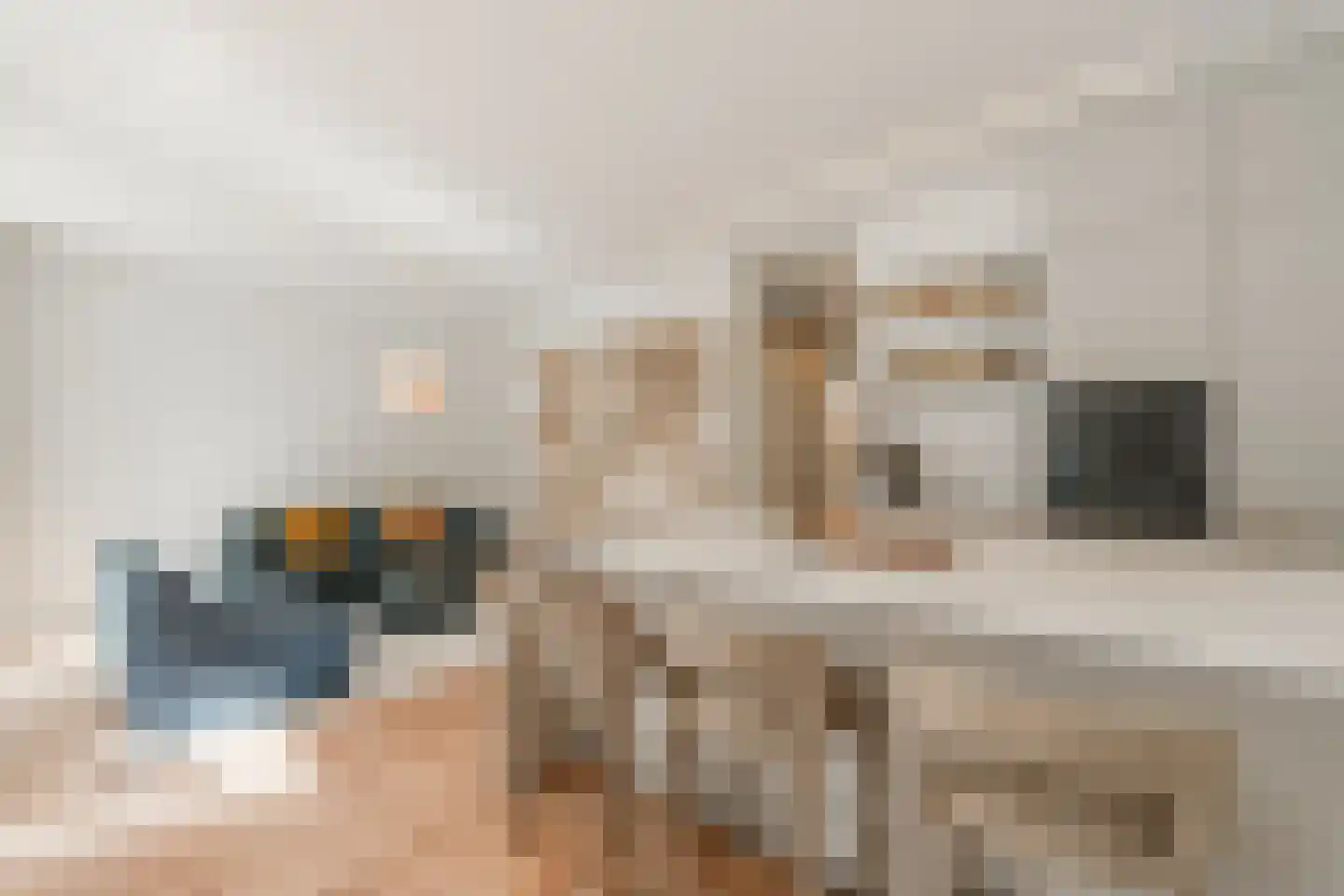 Piet Mondriaansingel 155 Diemen thumbnail 18