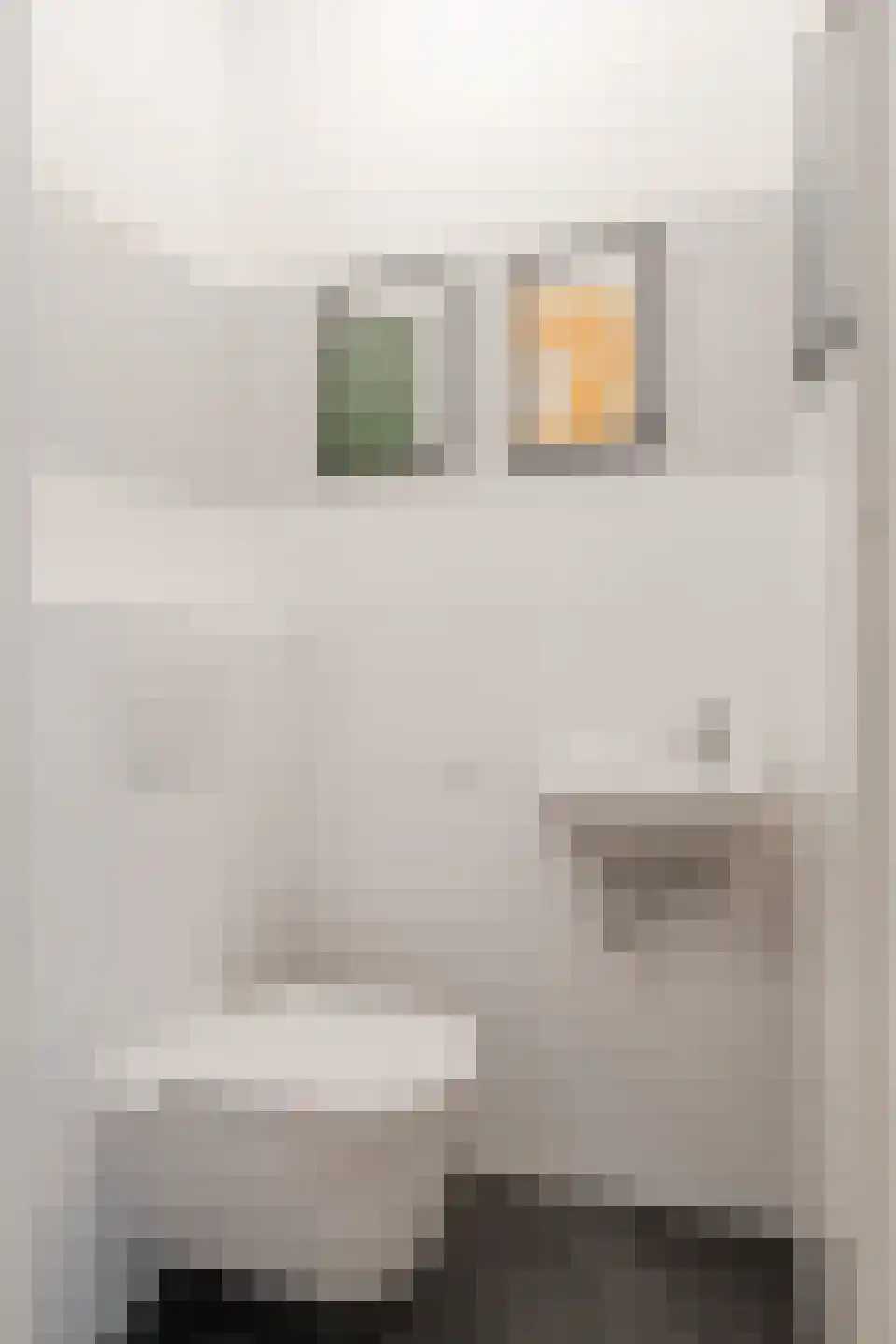 Piet Mondriaansingel 155 Diemen thumbnail 41