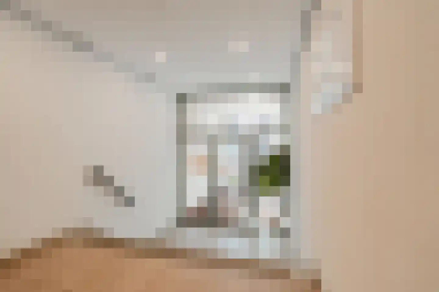 Piet Mondriaansingel 155 Diemen thumbnail 59
