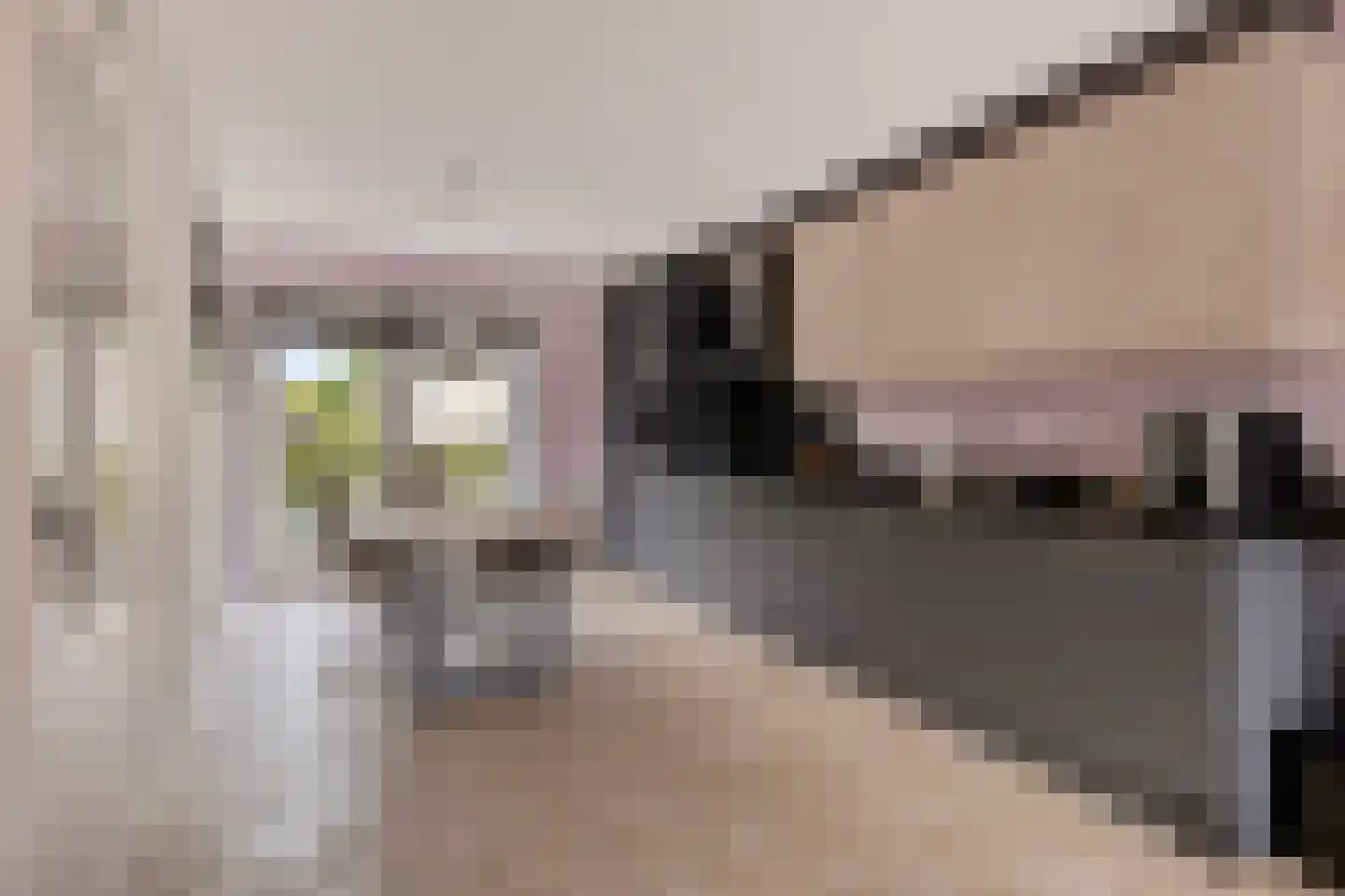 Piet Mondriaansingel 18 Rotterdam thumbnail 4