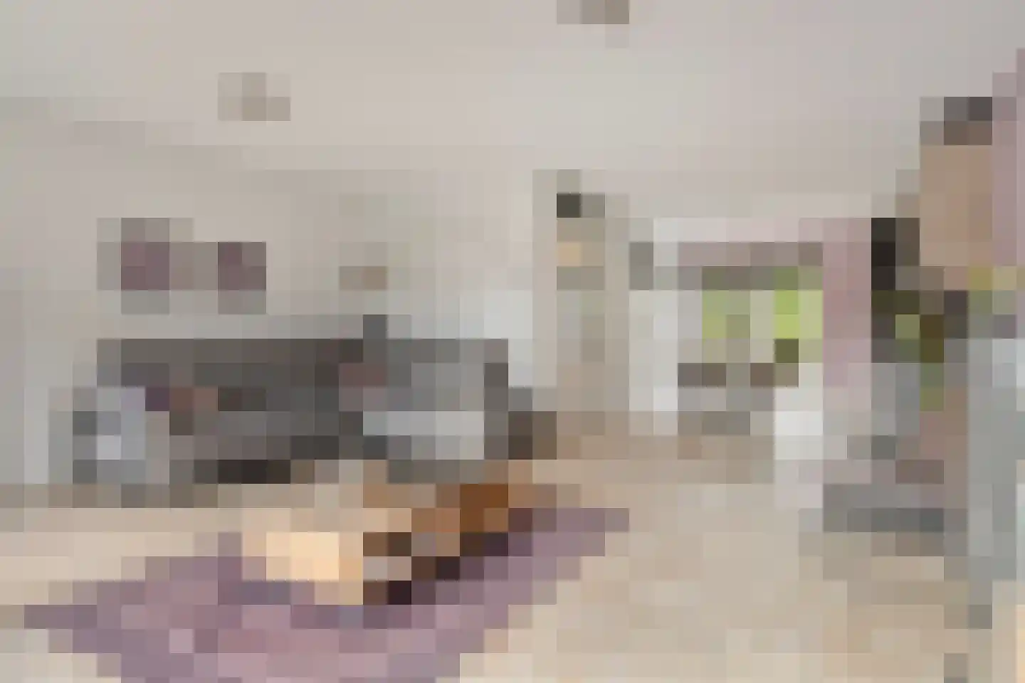 Piet Mondriaansingel 18 Rotterdam thumbnail 7