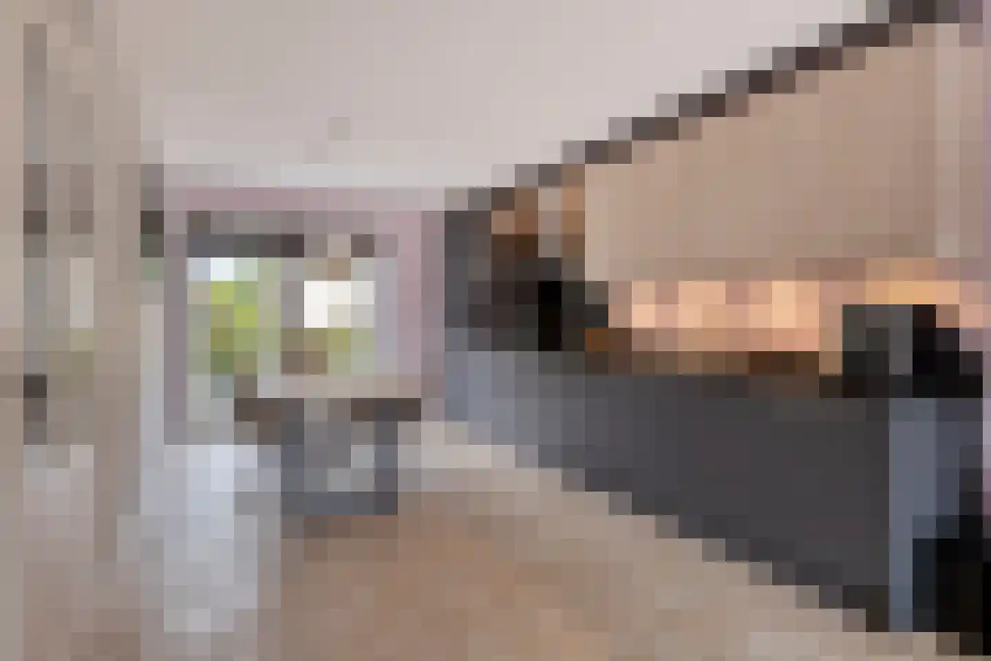 Piet Mondriaansingel 18 Rotterdam thumbnail 9