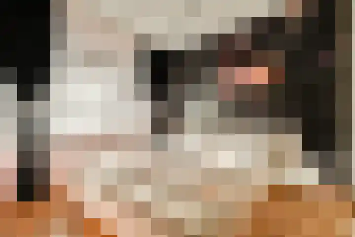 Piet Mondriaansingel 243 Diemen thumbnail 4