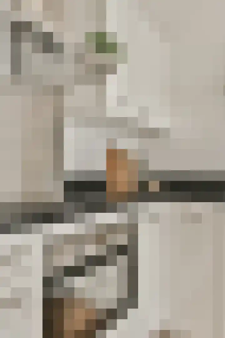 Piet Mondriaansingel 5 Diemen thumbnail 11