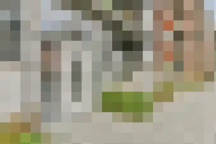 Piet Mondriaansingel 5 Diemen thumbnail 24