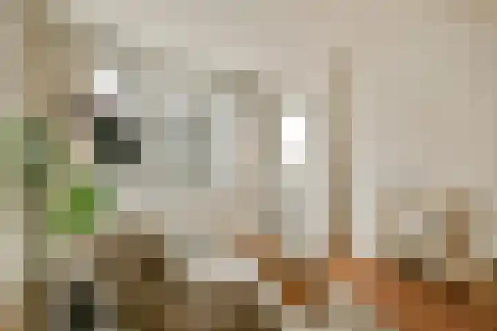 Piet Mondriaansingel 5 Diemen thumbnail 4