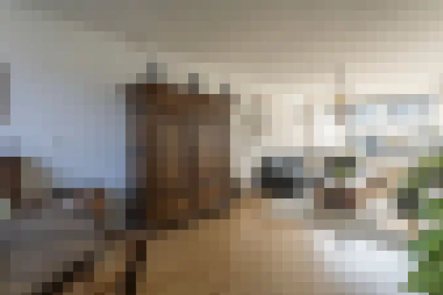 Piet Mondriaanstraat 1 Meppel thumbnail 10
