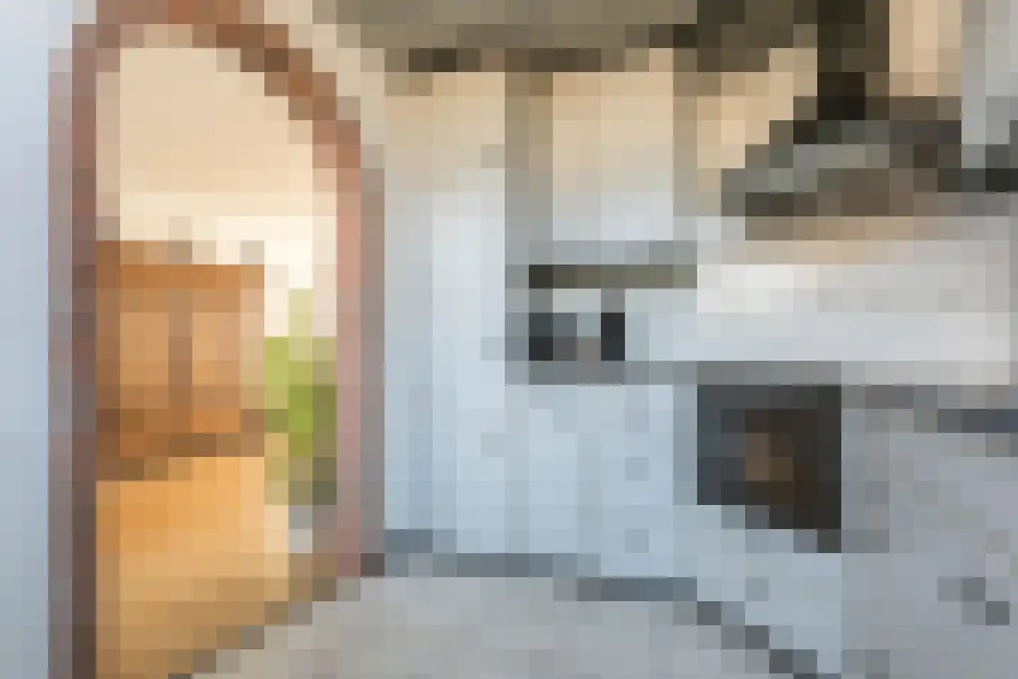 Piet Mondriaanstraat 1 Meppel thumbnail 13