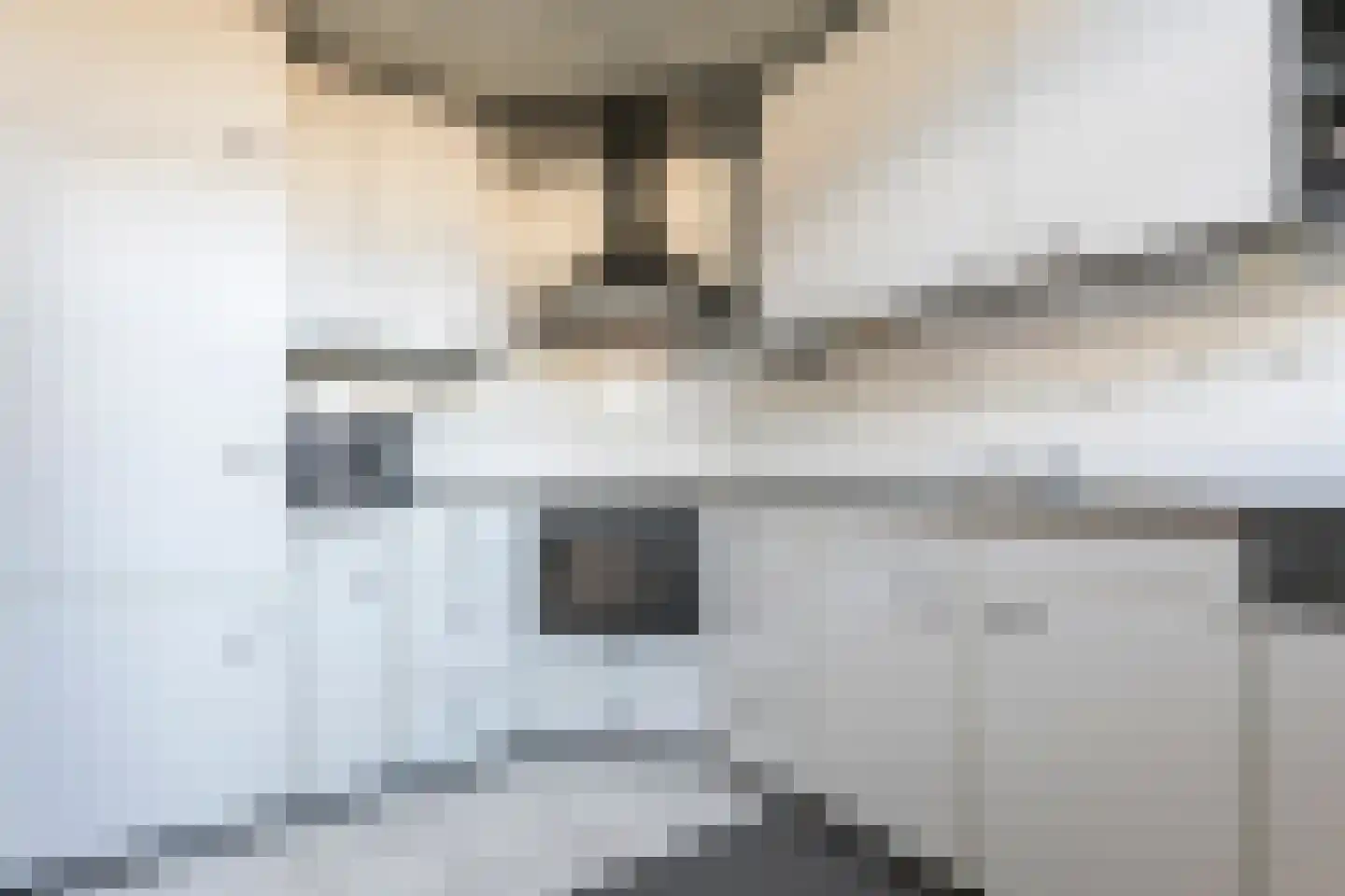 Piet Mondriaanstraat 1 Meppel thumbnail 14