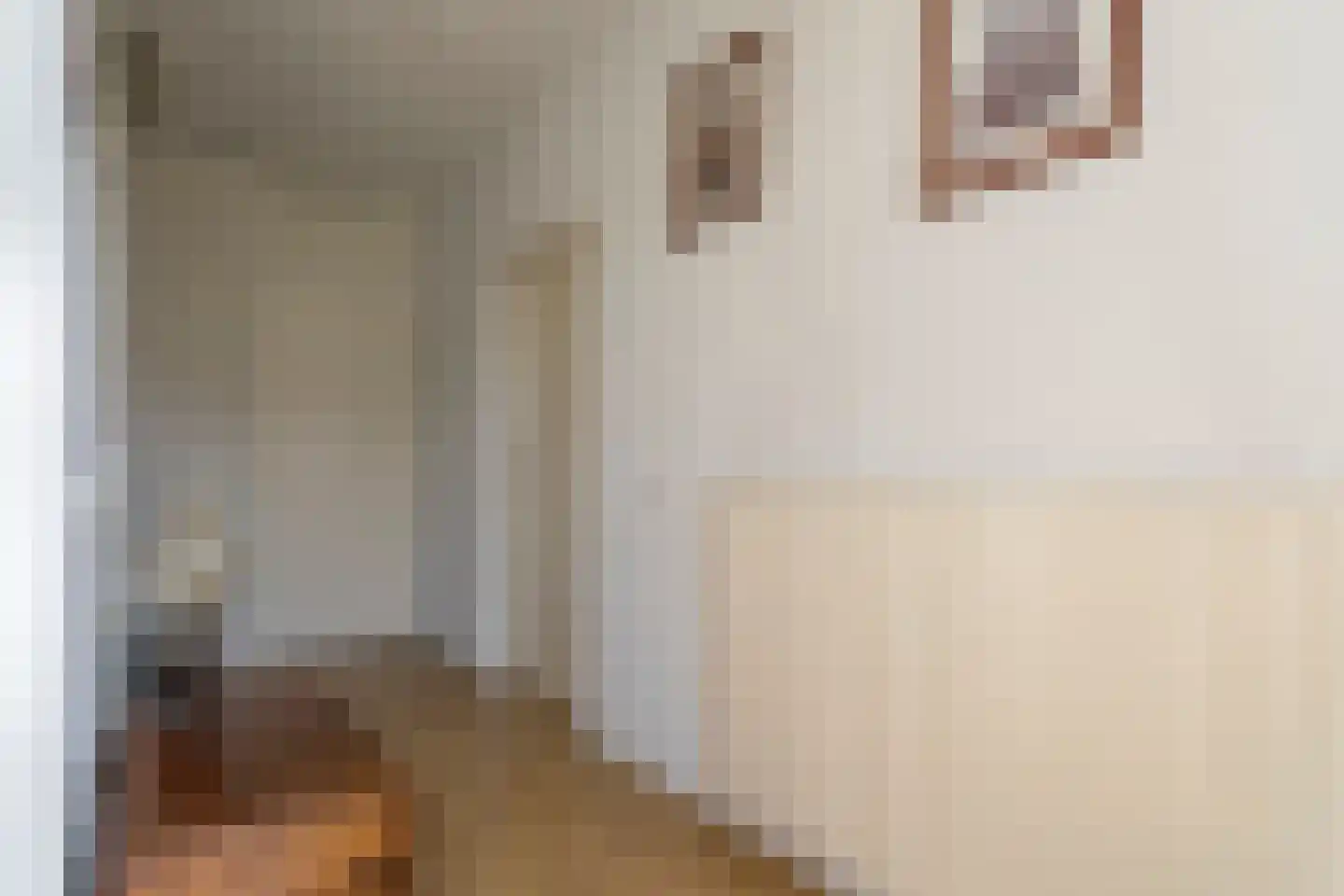 Piet Mondriaanstraat 1 Meppel thumbnail 16