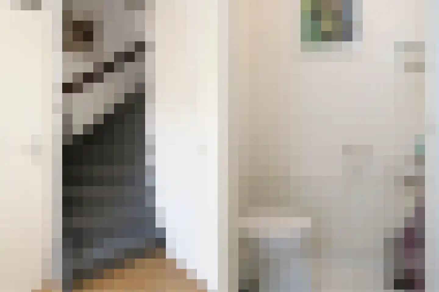 Piet Mondriaanstraat 1 Meppel thumbnail 18