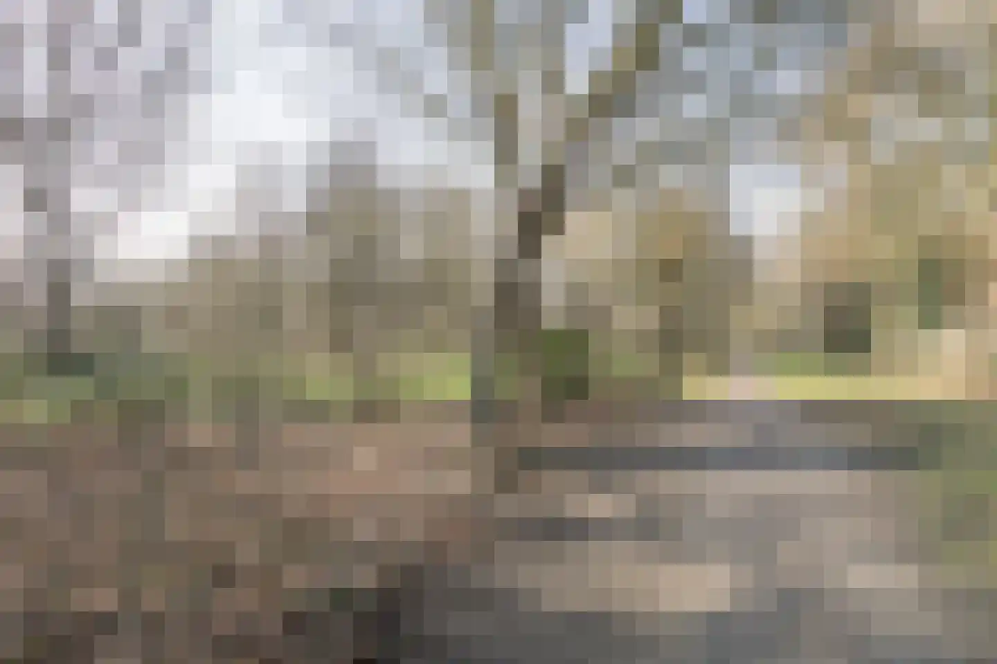 Piet Mondriaanstraat 1 Meppel thumbnail 40