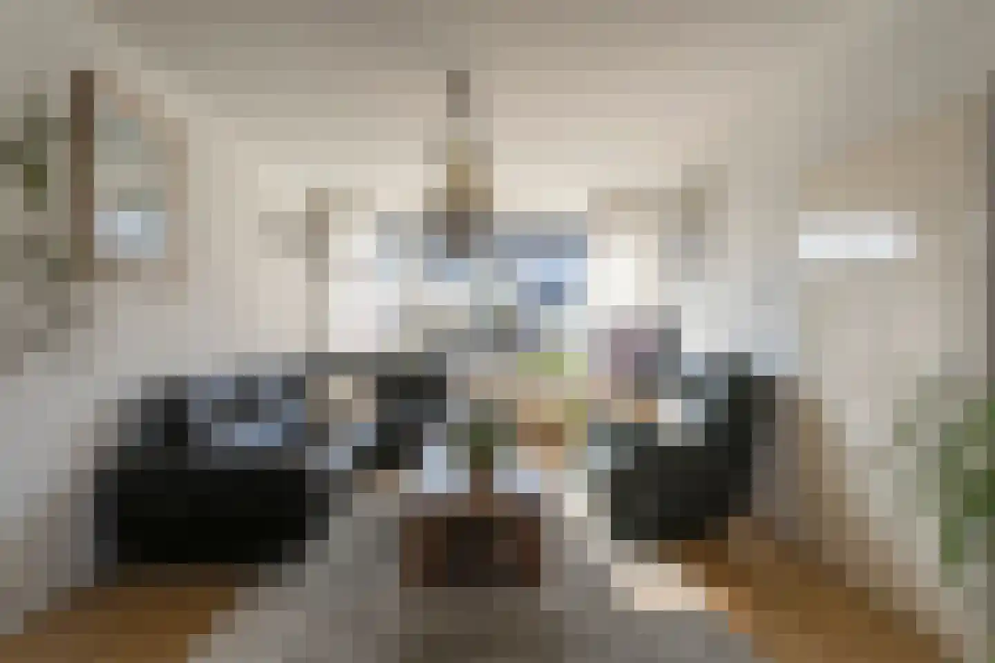 Piet Mondriaanstraat 1 Meppel thumbnail 6