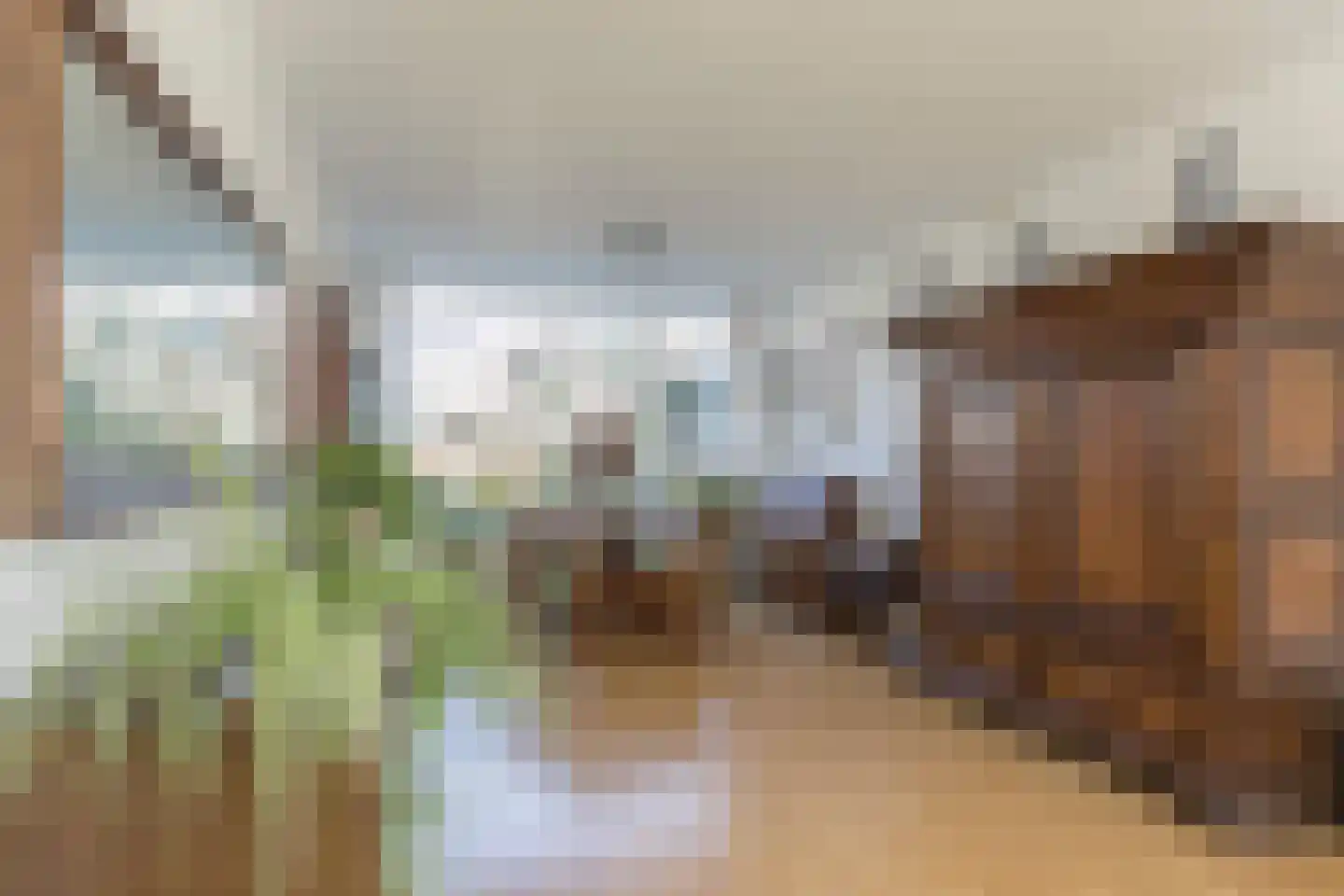 Piet Mondriaanstraat 1 Meppel thumbnail 8