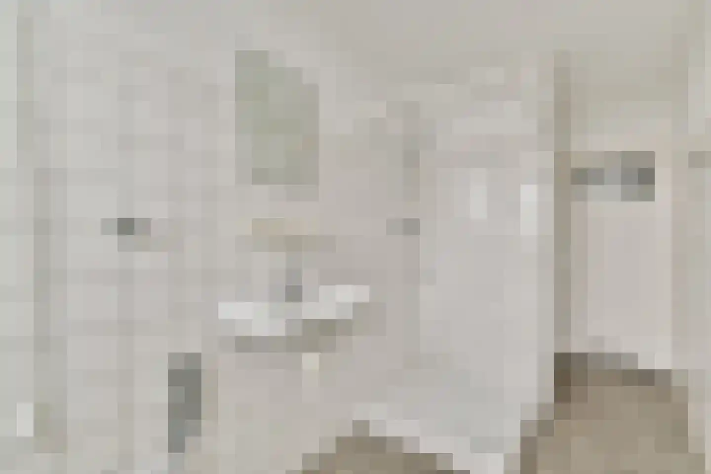 Piet Mondriaanstraat 117 1 Amsterdam thumbnail 5