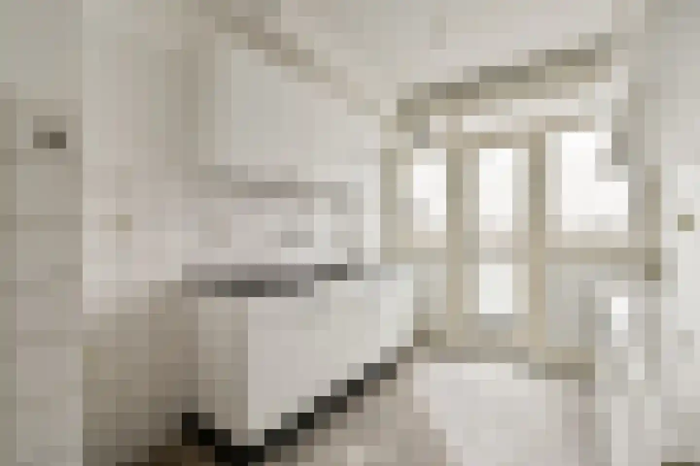 Piet Mondriaanstraat 117 2 Amsterdam thumbnail 11