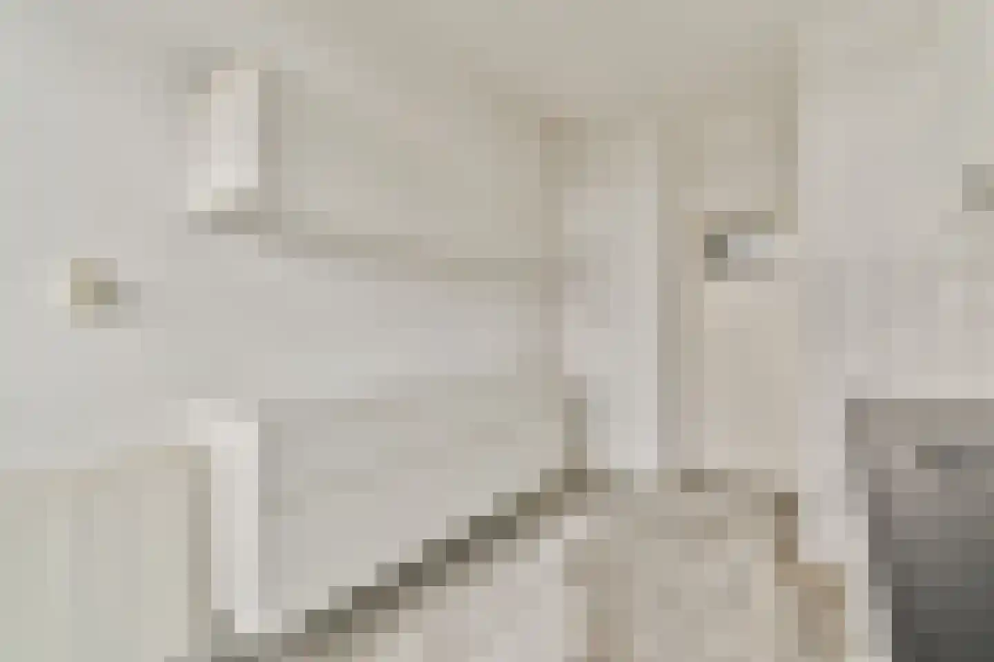 Piet Mondriaanstraat 117 2 Amsterdam thumbnail 12