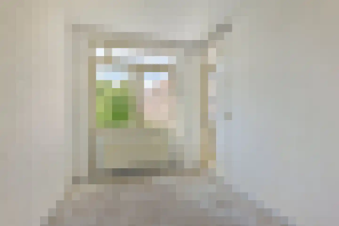 Piet Mondriaanstraat 117 2 Amsterdam thumbnail 18