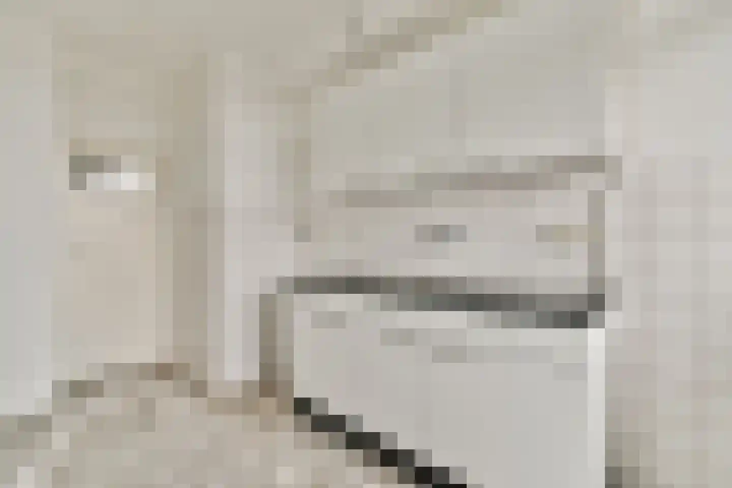 Piet Mondriaanstraat 117 2 Amsterdam thumbnail 4