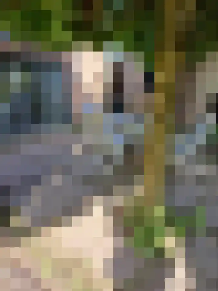 Piet Mondriaanstraat 2 Oosterhout thumbnail 31