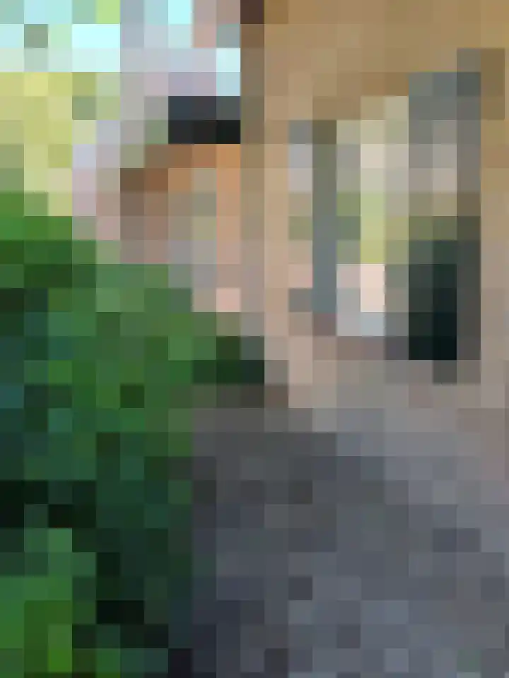 Piet Mondriaanstraat 2 Oosterhout thumbnail 32