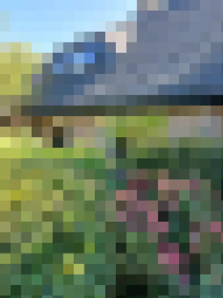 Piet Mondriaanstraat 2 Oosterhout thumbnail 34