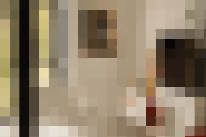Piet Mondriaanstraat 216 Amsterdam thumbnail 14