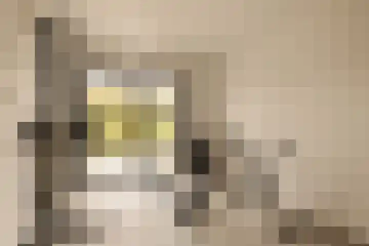 Piet Mondriaanstraat 216 Amsterdam thumbnail 24