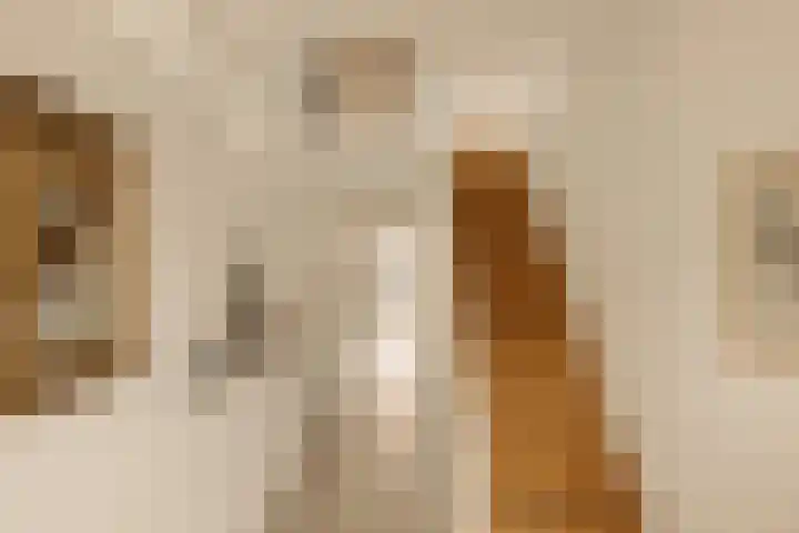 Piet Mondriaanstraat 216 Amsterdam thumbnail 26