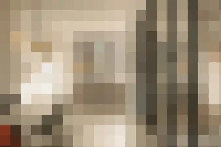 Piet Mondriaanstraat 216 Amsterdam thumbnail 6