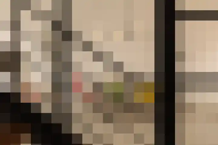 Piet Mondriaanstraat 216 Amsterdam thumbnail 8