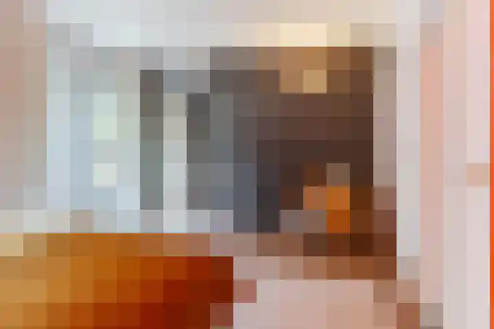 Piet Mondriaanstraat 23 Oosterhout thumbnail 33