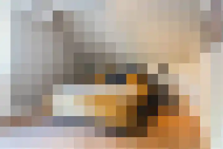 Piet Mondriaanstraat 23 Oosterhout thumbnail 37