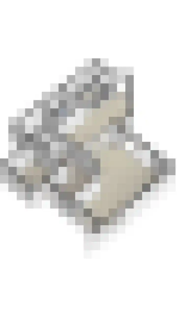 Piet Mondriaanstraat 23 Oosterhout thumbnail 80