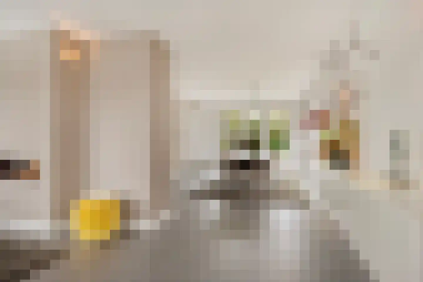Piet Mondriaanstraat 25 Oosterhout thumbnail 10