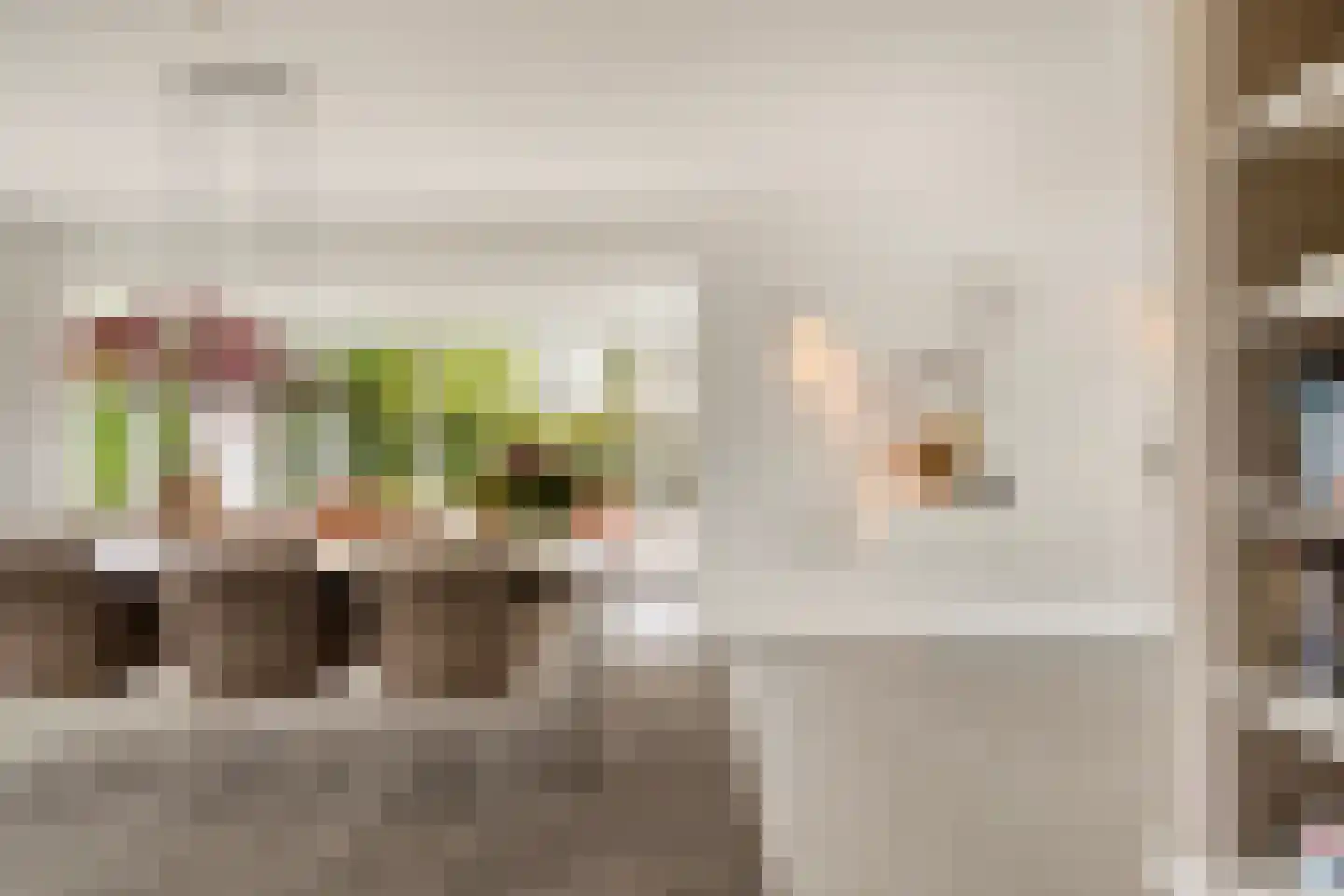 Piet Mondriaanstraat 25 Oosterhout thumbnail 11
