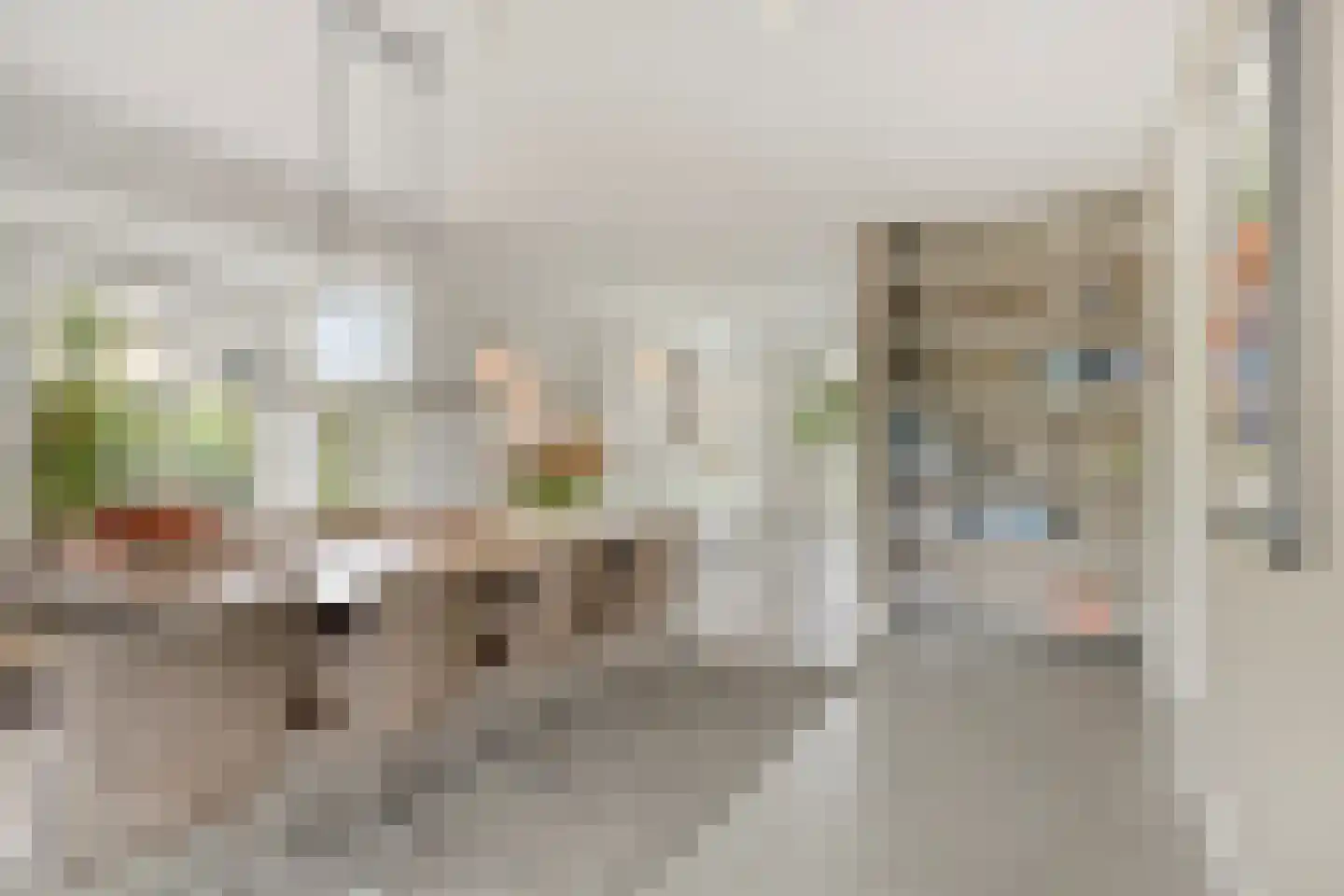 Piet Mondriaanstraat 25 Oosterhout thumbnail 12