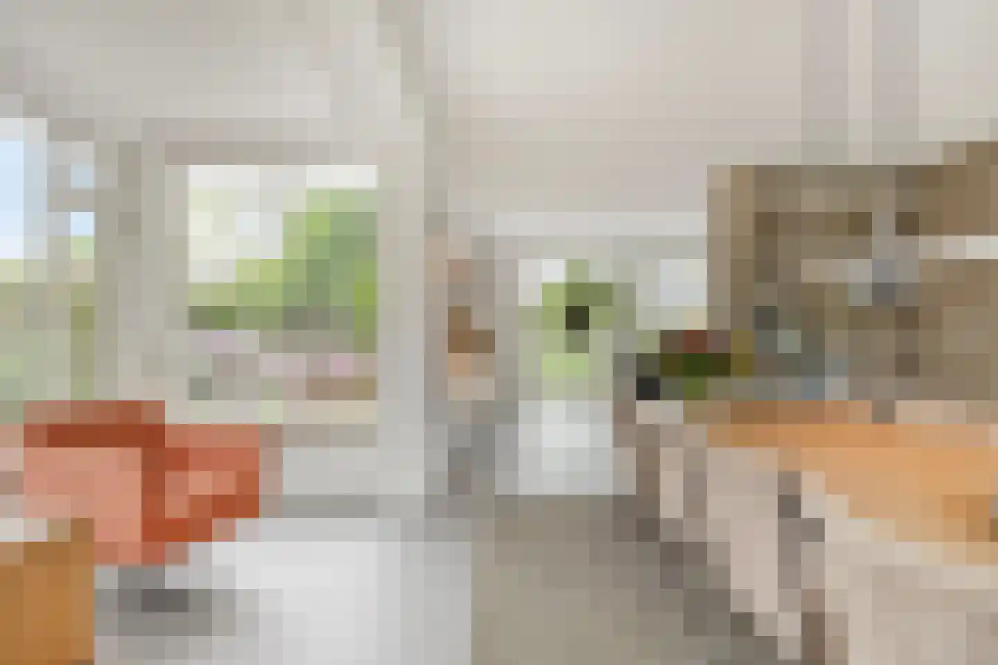 Piet Mondriaanstraat 25 Oosterhout thumbnail 13