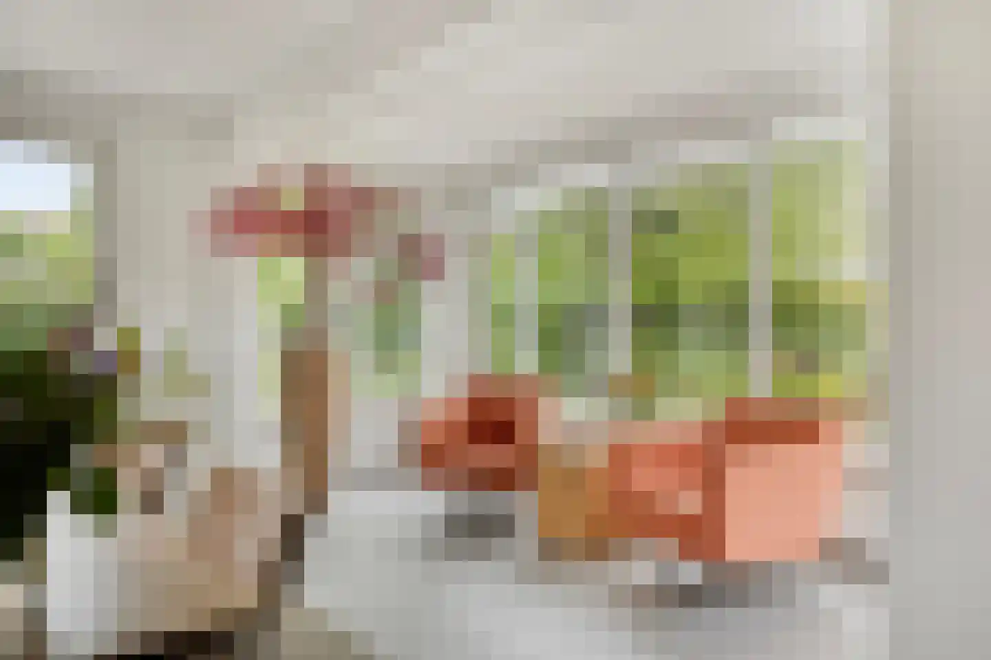 Piet Mondriaanstraat 25 Oosterhout thumbnail 14