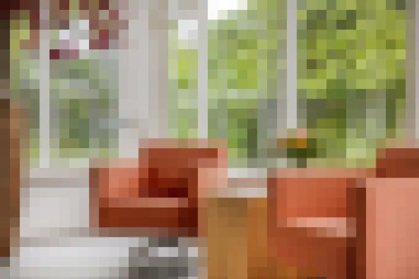 Piet Mondriaanstraat 25 Oosterhout thumbnail 15