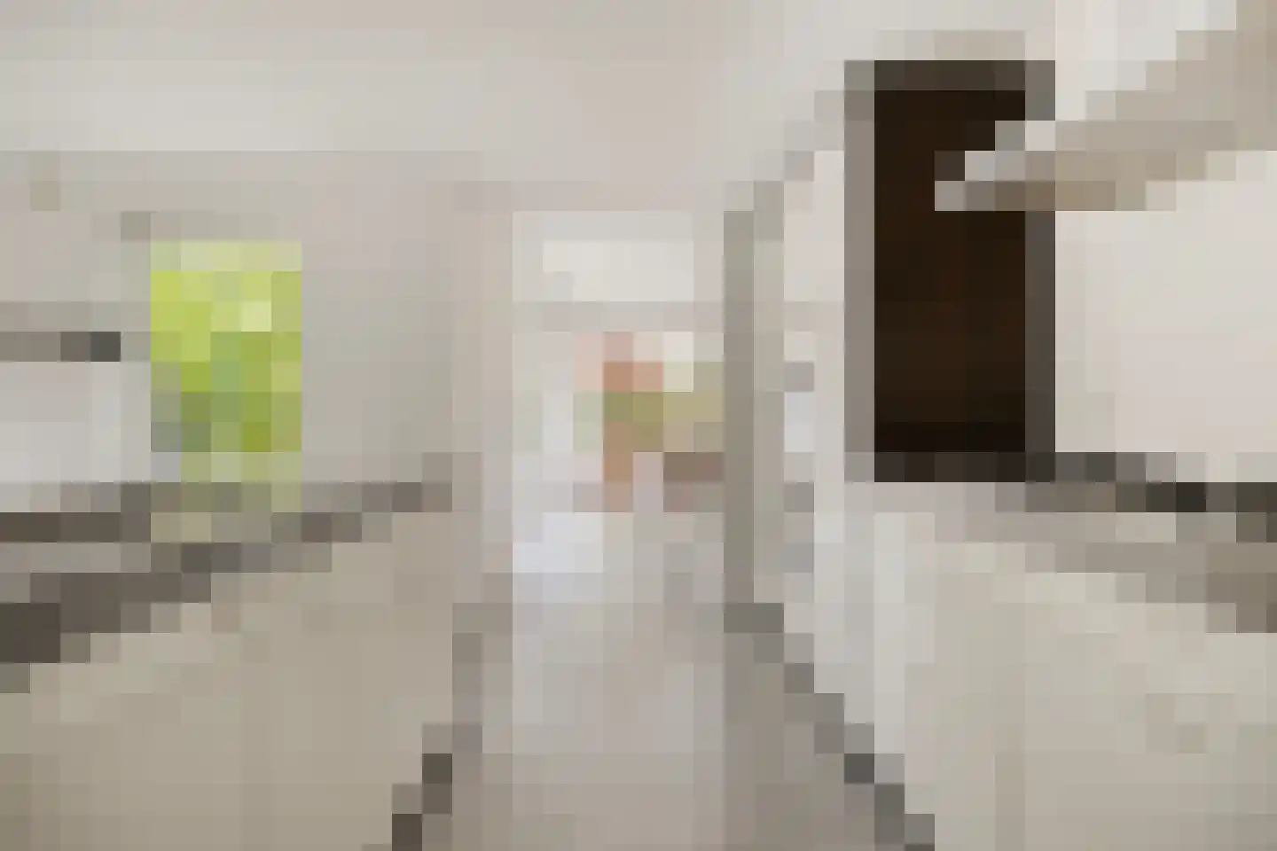 Piet Mondriaanstraat 25 Oosterhout thumbnail 19