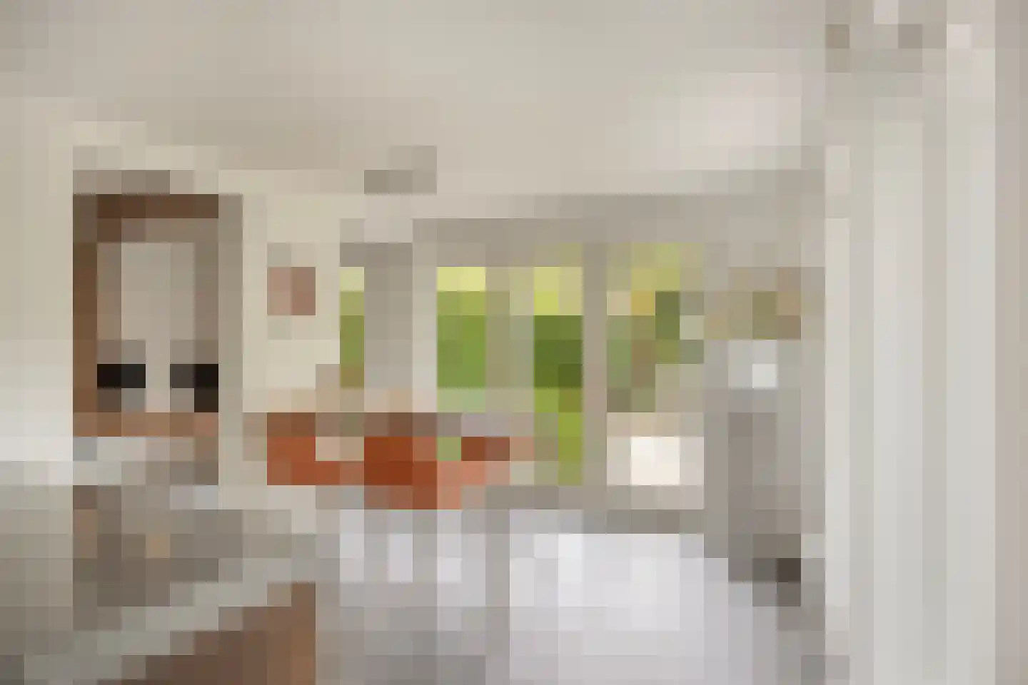 Piet Mondriaanstraat 25 Oosterhout thumbnail 20