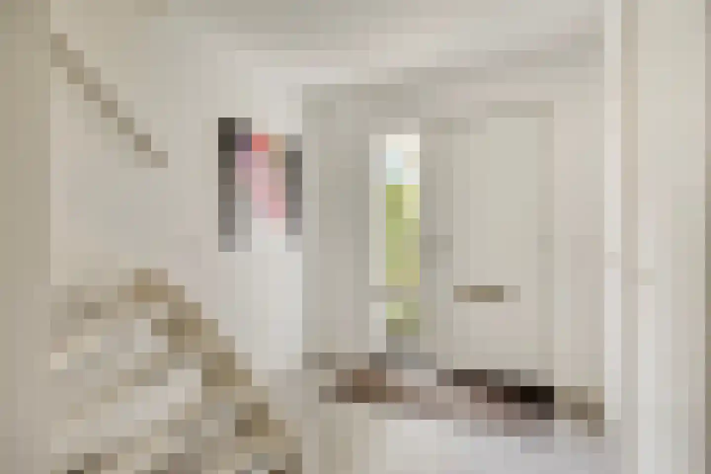 Piet Mondriaanstraat 25 Oosterhout thumbnail 28