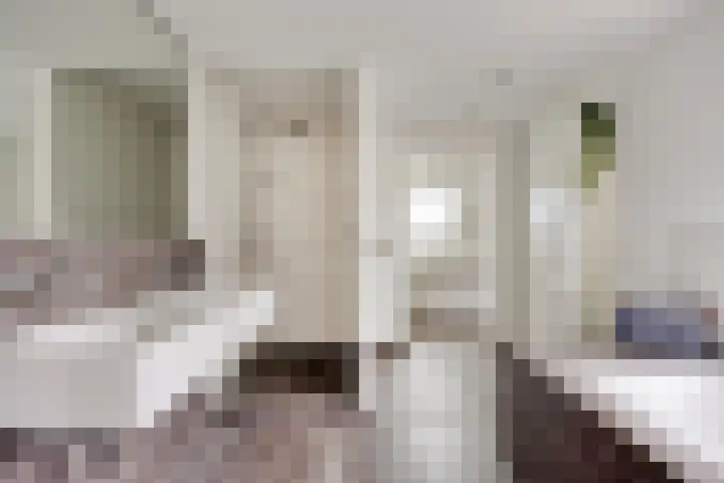 Piet Mondriaanstraat 25 Oosterhout thumbnail 37