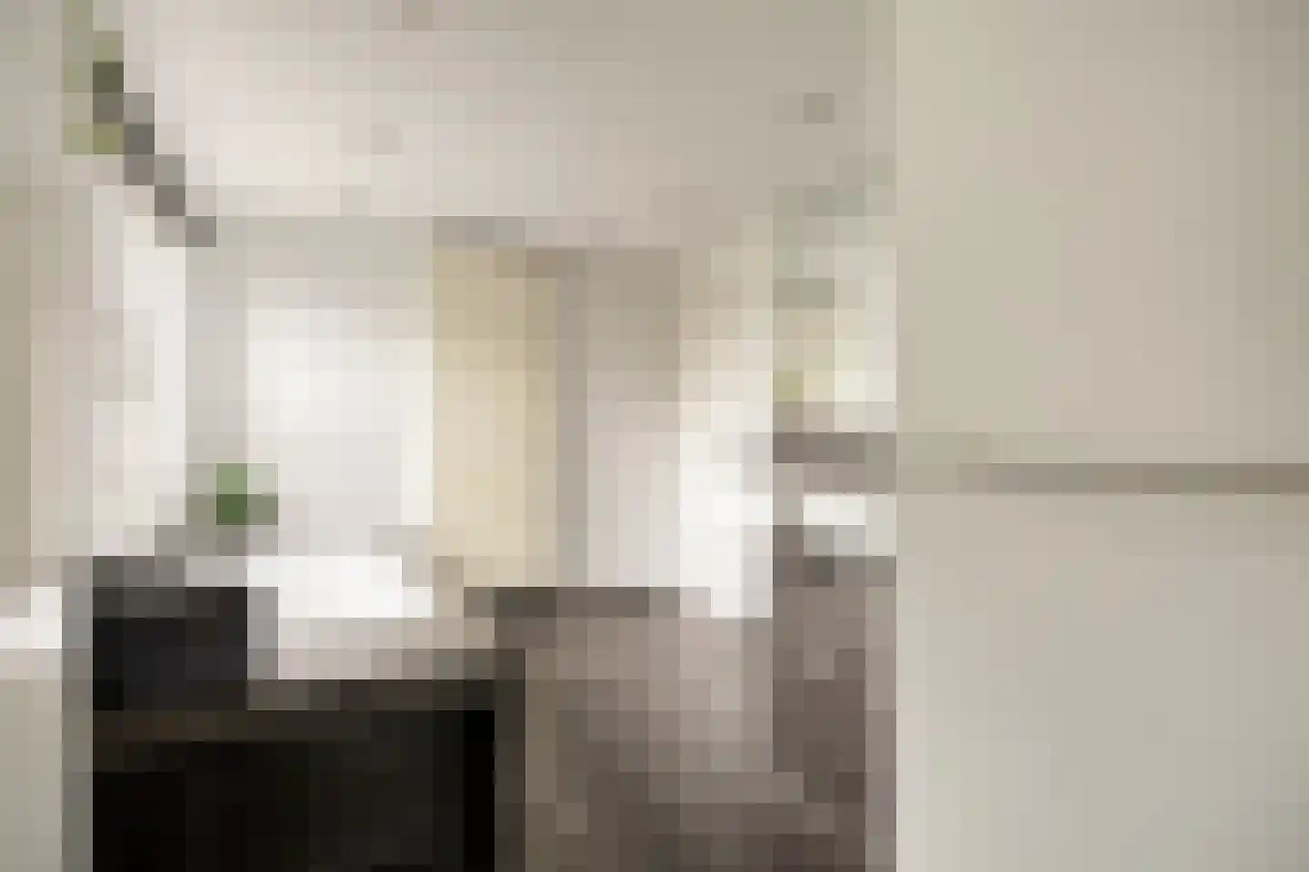 Piet Mondriaanstraat 25 Oosterhout thumbnail 38