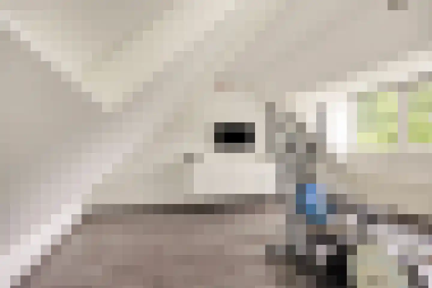 Piet Mondriaanstraat 25 Oosterhout thumbnail 42