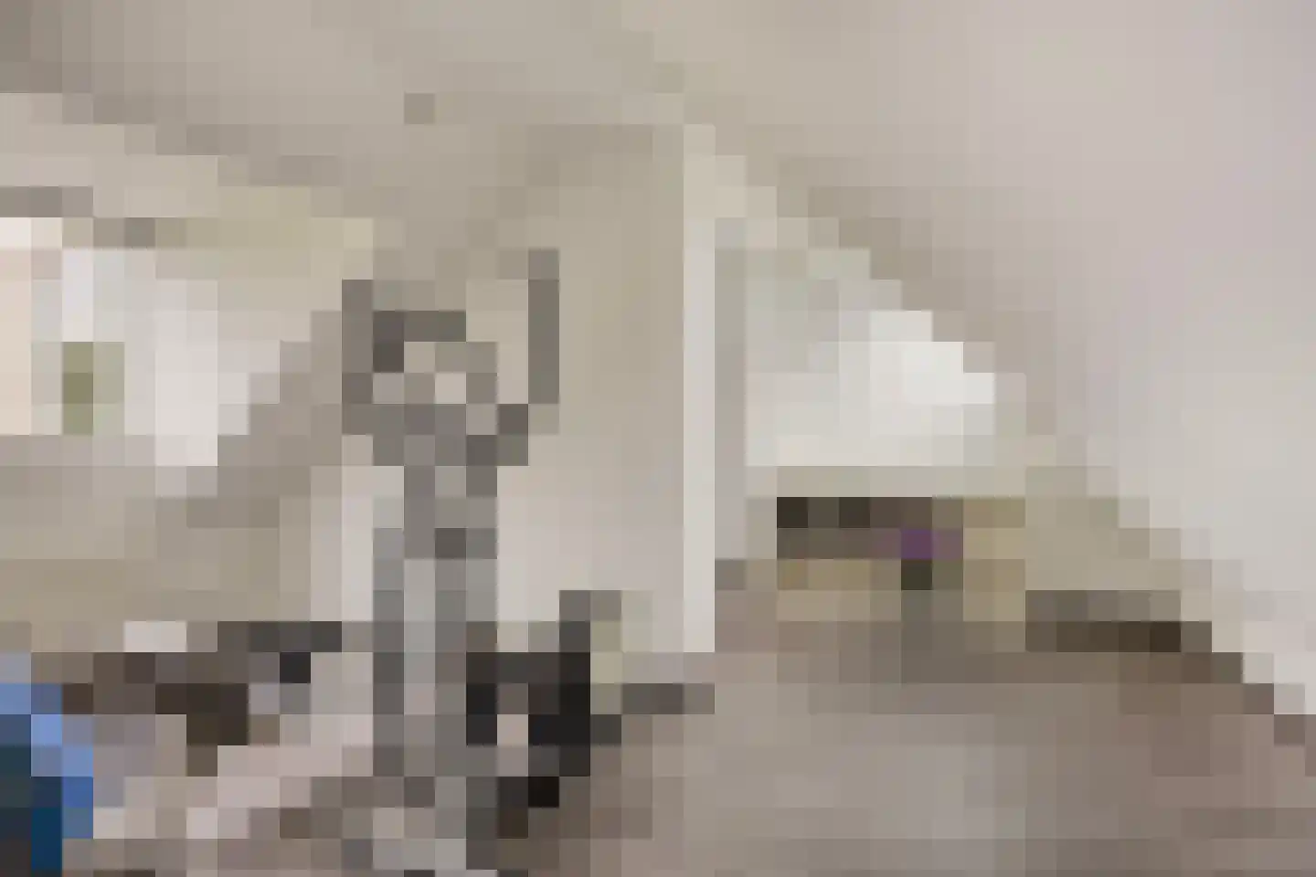Piet Mondriaanstraat 25 Oosterhout thumbnail 43